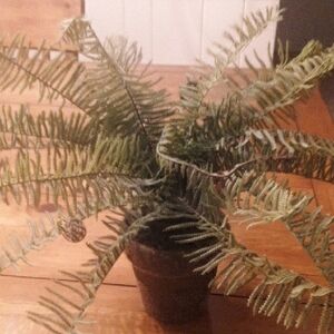 Artificial Green Fern Plant in Brown And Green Moss Like 4 Inch Pot